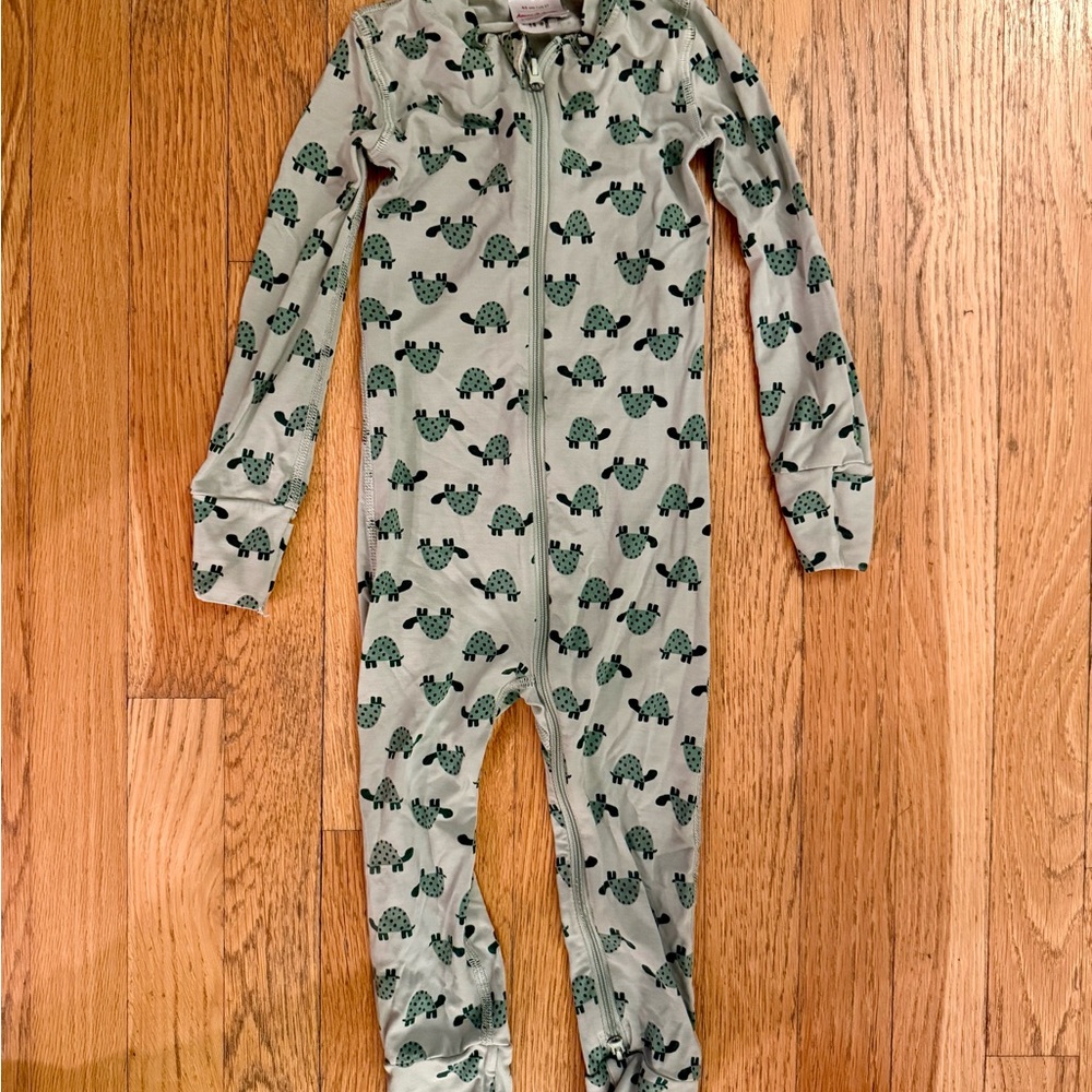 Hanna Andersson Gray and Green Turtle Footie